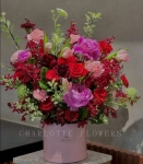 夏綠緋紅.Charlotte Rouge