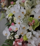 大型羅馬柱追思花禮(二)