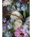 藍白系 鬱金香盆花