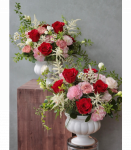 古典紅玫瑰盆花