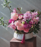 吉祥如意.粉色虎頭蘭