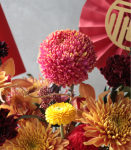 時來運轉.紅金喜氣盆花