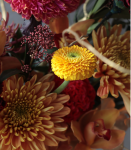 時來運轉.紅金喜氣盆花